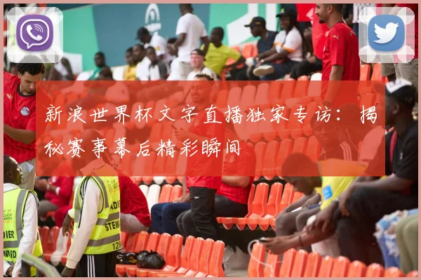 新浪世界杯文字直播独家专访：揭秘赛事幕后精彩瞬间