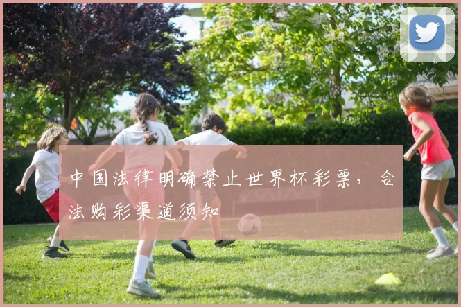 中国法律明确禁止世界杯彩票,合法购彩渠道须知