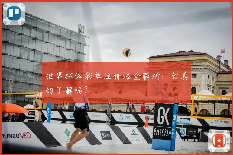 世界杯体彩单注价格全解析，你真的了解吗？
